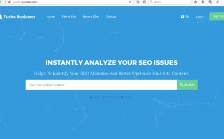 Turbo Website Reviewer - In-depth SEO Analysis Tool